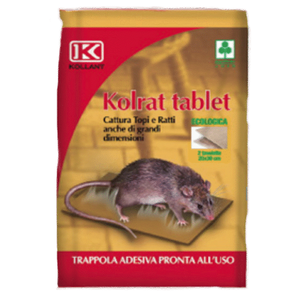RAT ADHESIVE TABLET 19X28CM